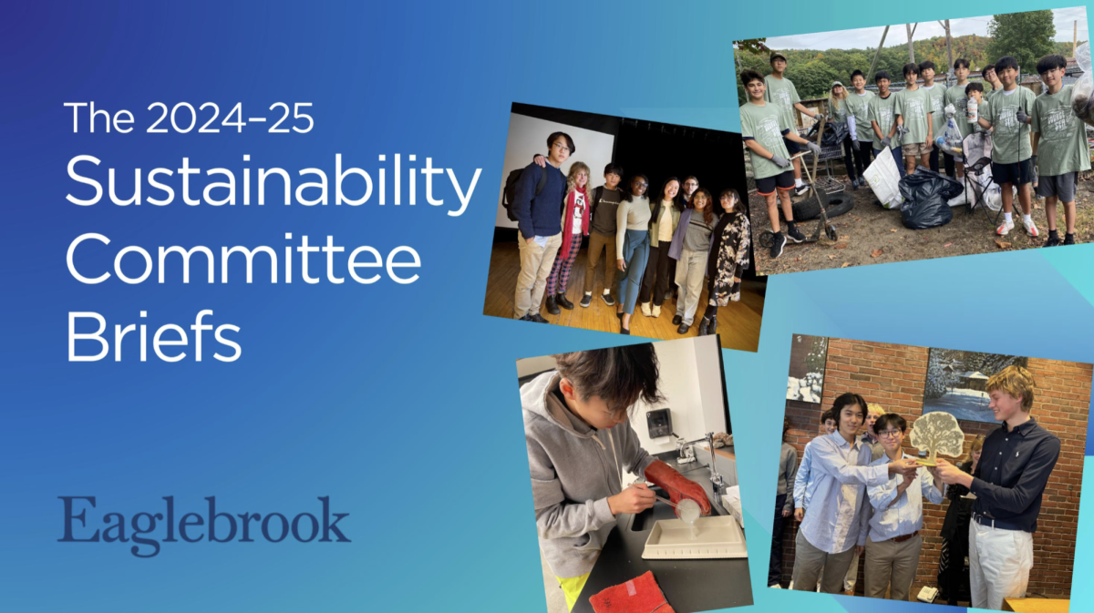 Update from the Sustainability Committee